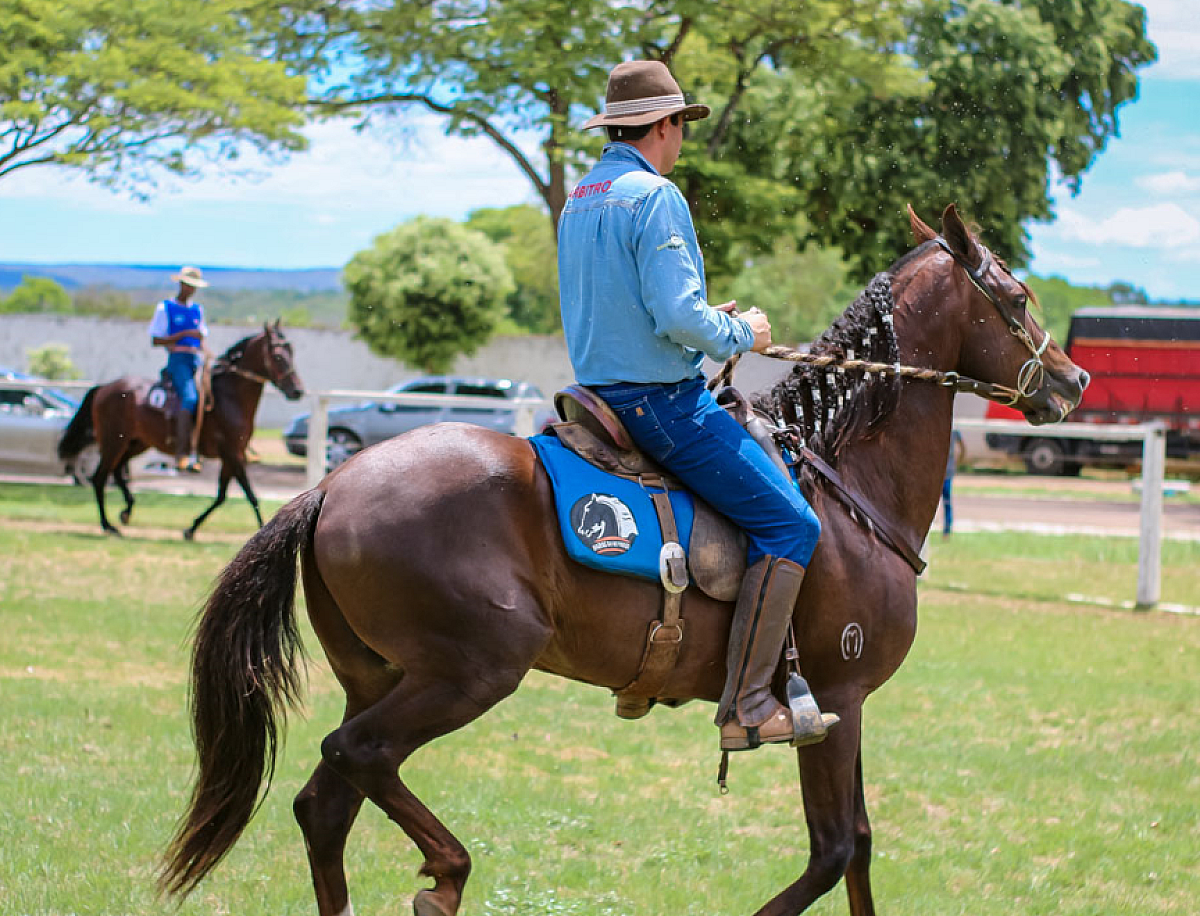 Associação Nacional do Cavalo de Rédeas irá realizar evento de premiação na EMAPA em Avaré 