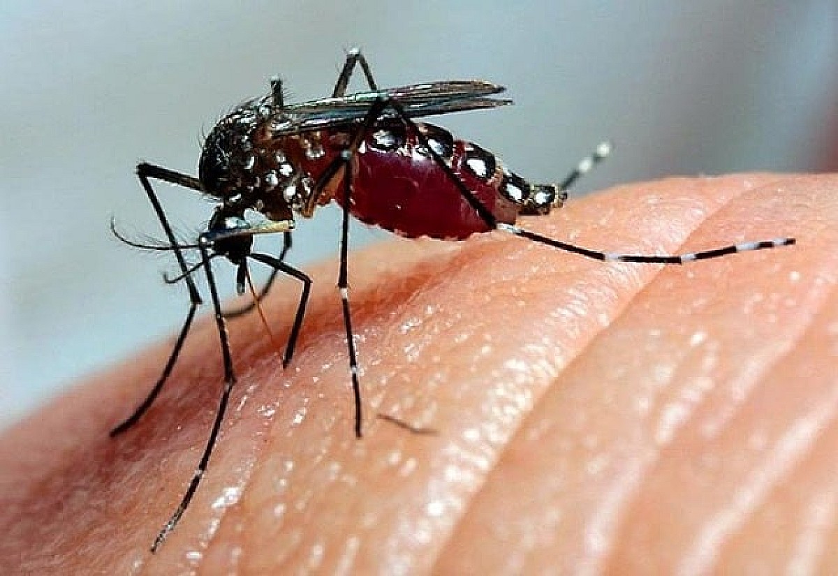 Cerquilho confirma três mortes por dengue em 2024