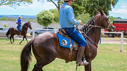 Associação Nacional do Cavalo de Rédeas irá realizar evento de premiação na EMAPA em Avaré