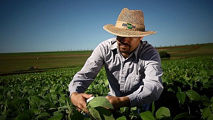 Dia do Agrônomo: 