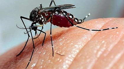 Cerquilho confirma três mortes por dengue em 2024